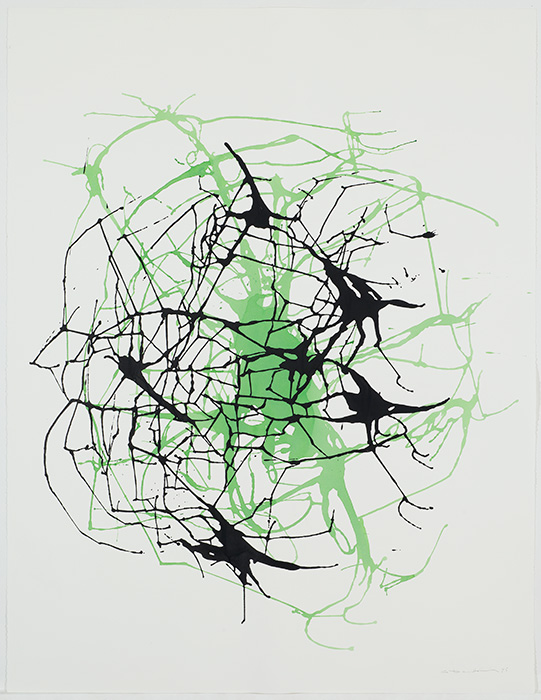 <strong>C.13</strong><BR>1995<BR>Encre sur papier Stonehenge<BR>126.8 x 97.3 cm<BR>Photo : Richard-Max Tremblay<BR><br><br>© Succession Charles Daudelin /COVA-DAAV