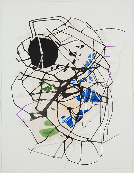 <strong>Circuit 2 (Le Printemps)</strong><BR>1994<BR>Encre sur papier Stonehenge<BR>126,6 x 97 cm<BR>Photo : Richard-Max Tremblay<BR><br><br>© Succession Charles Daudelin /COVA-DAAV