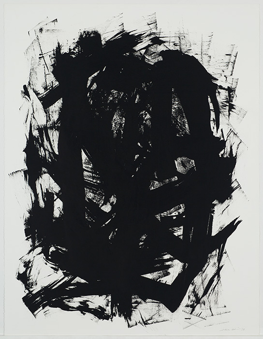 <strong>Sans titre ou Nids d'aigle</strong><BR>1997<BR>Encre sur papier Stonehenge<BR>126,9 x 97,6 cm<BR>Photo : Richard-Max Tremblay<BR><br><br>© Succession Charles Daudelin /COVA-DAAV