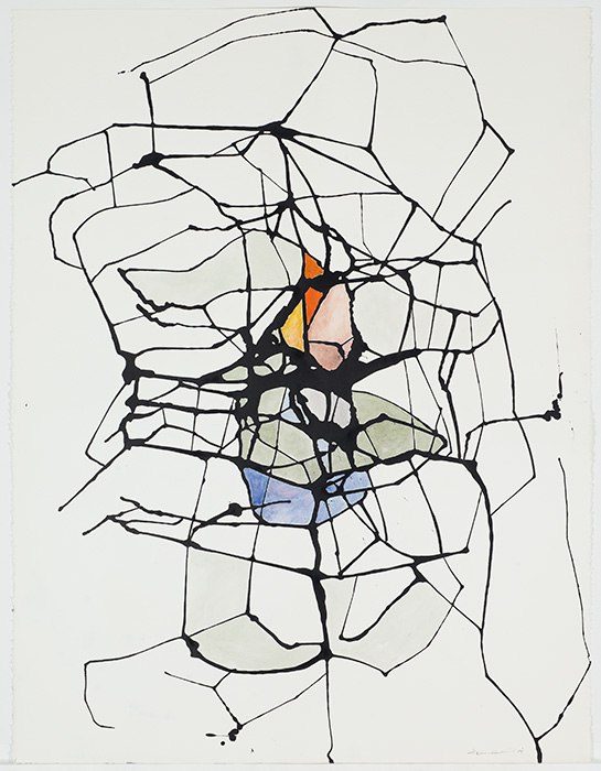 <strong>Réseau 4</strong><BR>1994<BR>Encre sur papier Stonehenge<BR>127,3 x 97,4 cm<BR>Photo : Richard-Max Tremblay<BR><br><br>© Succession Charles Daudelin /COVA-DAAV