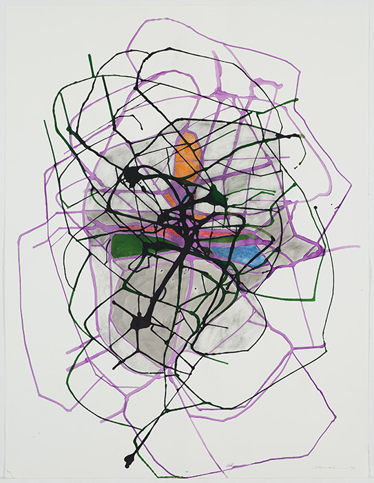 <strong>Réseau 6</strong><BR>1994<BR>Encre sur papier Stonehenge<BR>126,8 x 97,3 cm<BR>Photo : Richard-Max Tremblay<BR><br><br>© Succession Charles Daudelin /COVA-DAAV