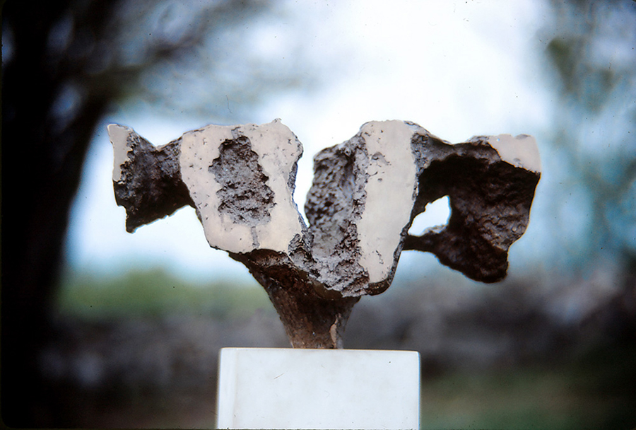 <strong>La bretonne</strong><BR>1965<BR>Bronze<BR>30,5 x 54,9 x 12,7 cm., approx.<BR>Photo : Diapositive 35 mm., photographe inconnu, source : Archives Charles et Louise Daudelin<BR><br><br>© Succession Charles Daudelin /SODRAC