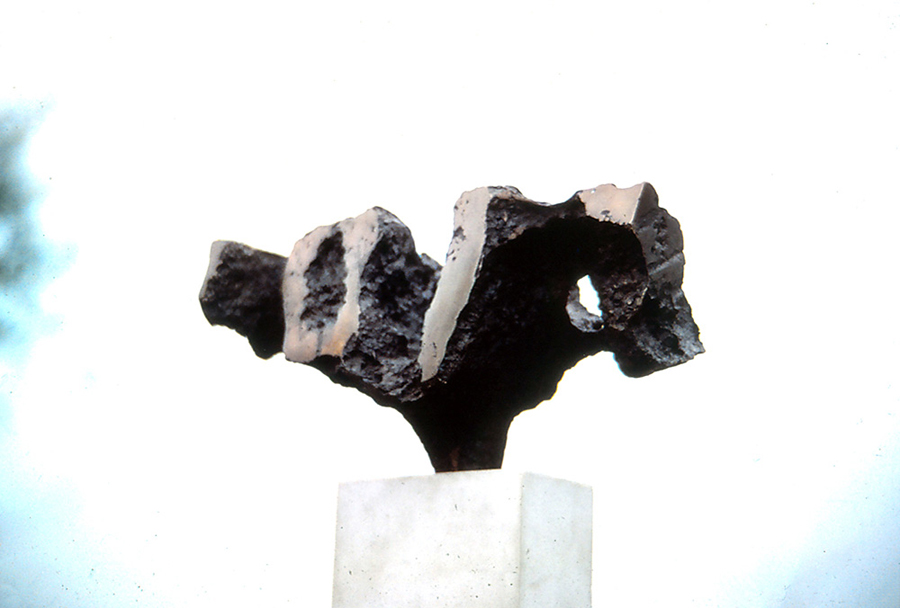 <strong><i>La bretonne</i></strong><BR>1965<BR>Bronze<BR>30,5 x 54,9 x 12,7 cm., approx.<BR><i></i><BR><BR><h9 style='font-size:.8em'>Photo : 2/5</h9><BR><br><br><h9 style='font-size:.8em'>© Succession Charles Daudelin /COVA-DAAV