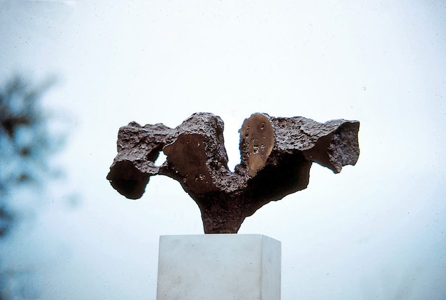 <strong><i>La bretonne</i></strong><BR>1965<BR>Bronze<BR>30,5 x 54,9 x 12,7 cm., approx.<BR><i></i><BR><BR><h9 style='font-size:.8em'>Photo : 3/5</h9><BR><br><br><h9 style='font-size:.8em'>© Succession Charles Daudelin /COVA-DAAV